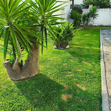 Esposende Charming With Garden