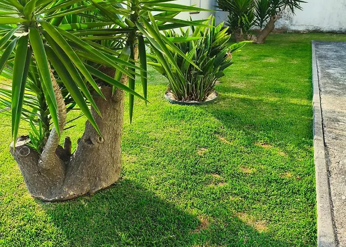 Esposende Charming With Garden